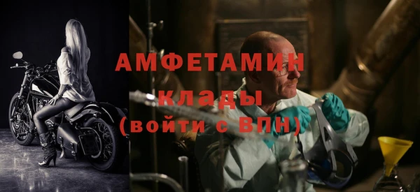 дмт Карпинск