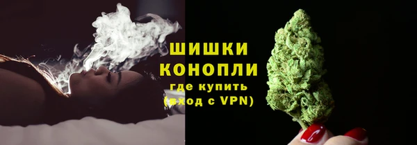 дмт Карпинск
