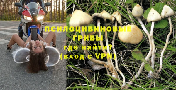 прущий лед Касимов