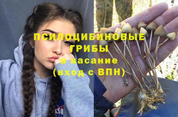 прущий лед Касимов