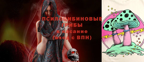 дмт Карпинск