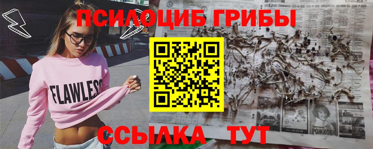 Псилоцибиновые грибы MAGIC MUSHROOMS  Вход с VPN  Дзержинск  дарнет шоп  Галлюциногенные грибы Magic Shrooms 
