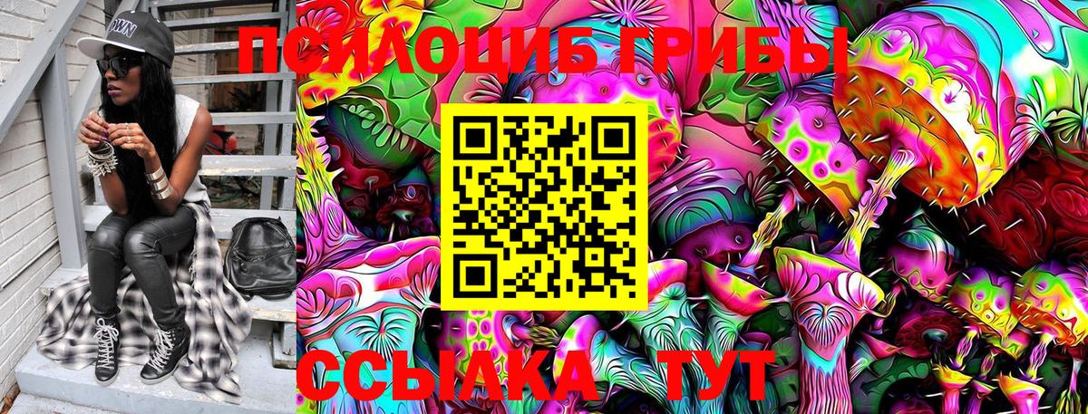 Псилоцибиновые грибы Cubensis Дзержинск