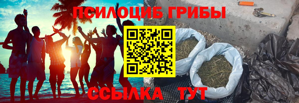 Галлюциногенные грибы Psilocybe Дзержинск