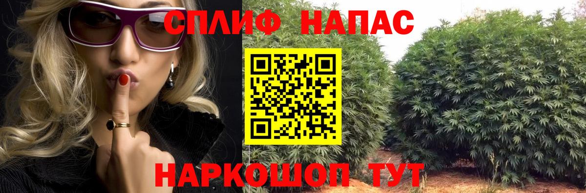 Конопля планчик  Шишки марихуана семена  Бошки марихуана Amnesia  Каннабис планчик  Дзержинск 